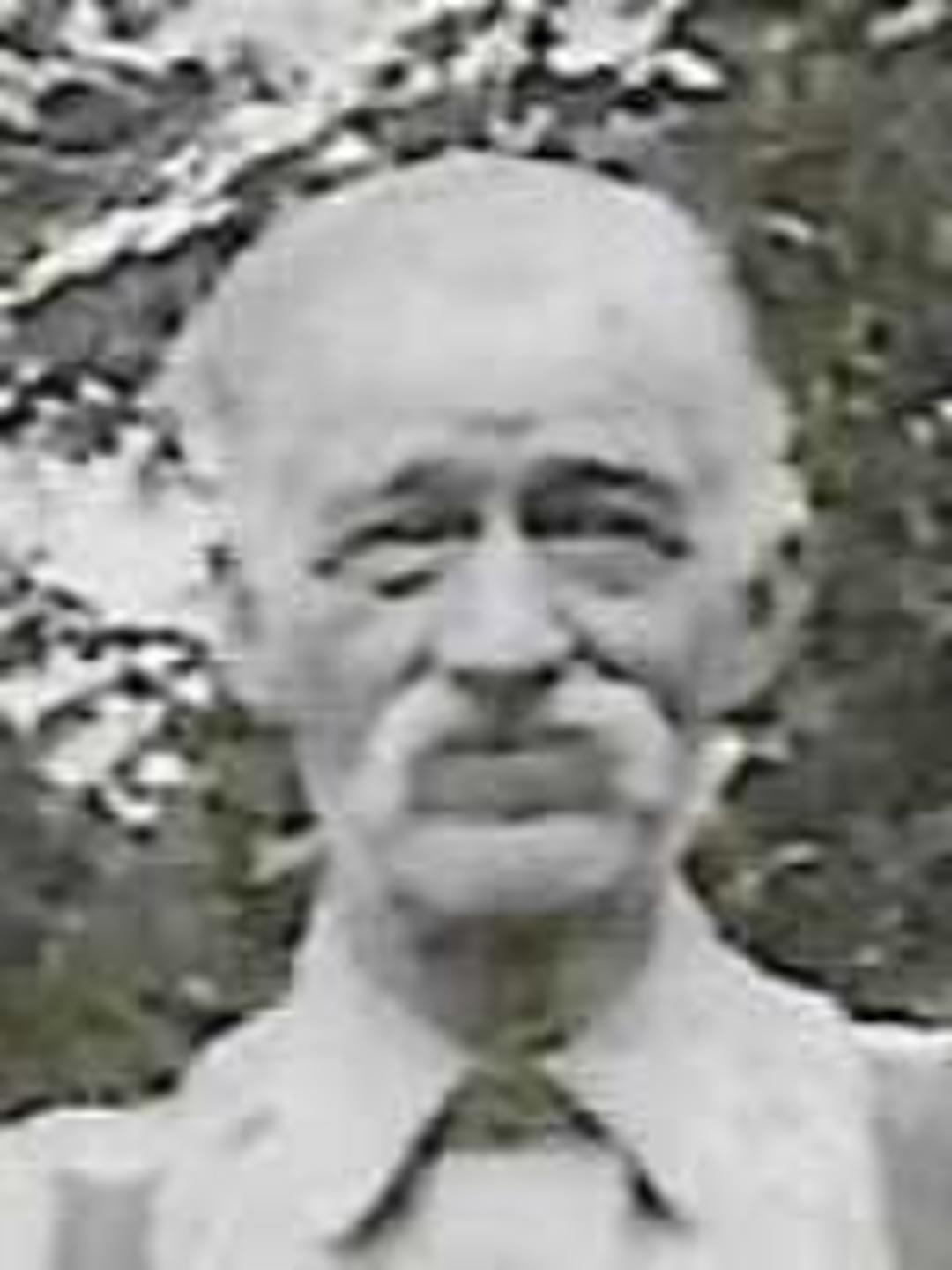 Charles Alfonso Daley (1854 - 1937) Profile
